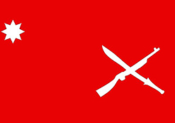 RCSS/SSA